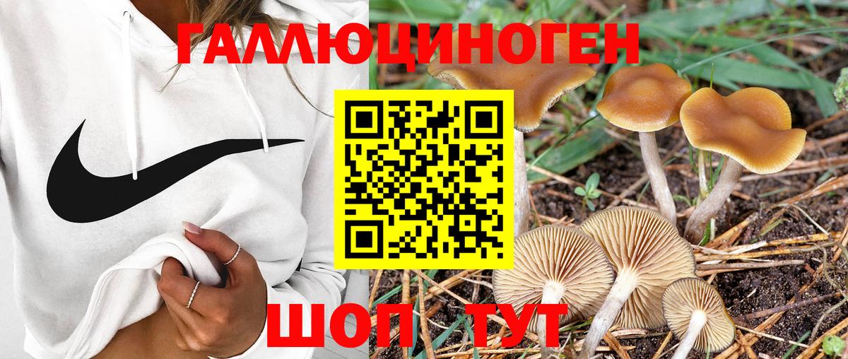 Галлюциногенные грибы Magic Shrooms Богородск
